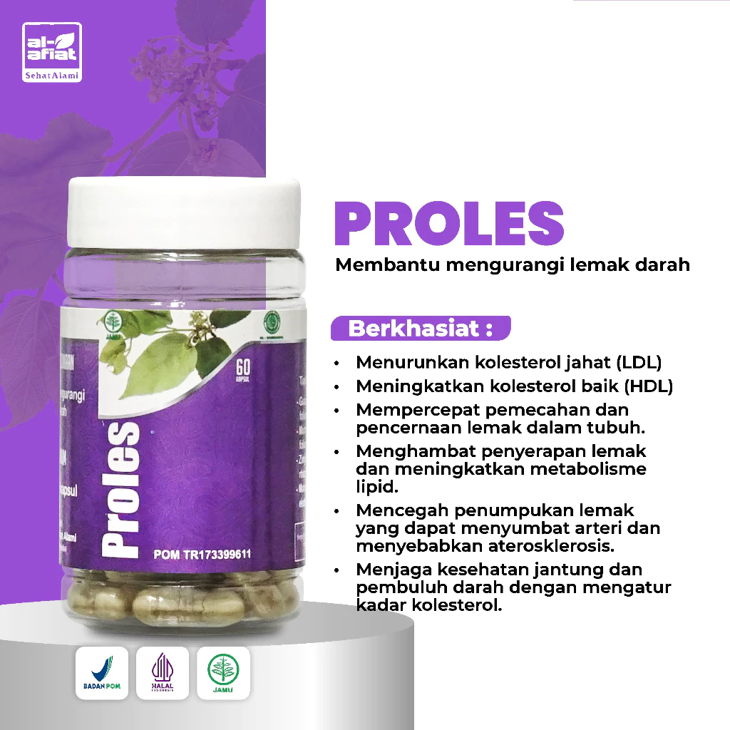 Proles – Atasi Lemak Darah & Kolesterol - Gambar 2