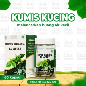 Kumis Kucing Kapsul Herbal Alafiat – Bantu Atasi Batu Ginjal & Melancarkan Buang Air Kecil