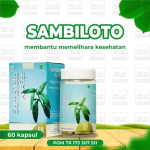 Sambiloto Alafiat – Herbal Pahit Tradisional untuk Kesehatan Tubuh